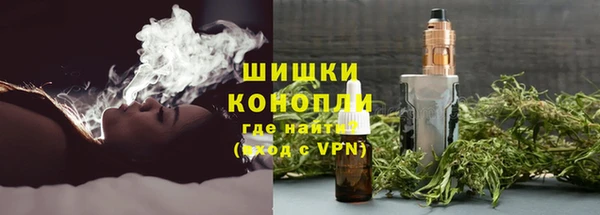 герыч Мегион