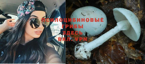 гашик Абинск