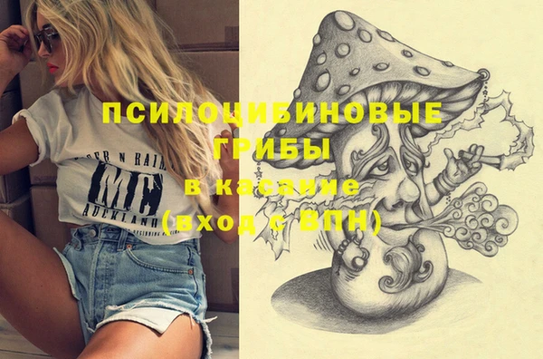 стаф Медвежьегорск
