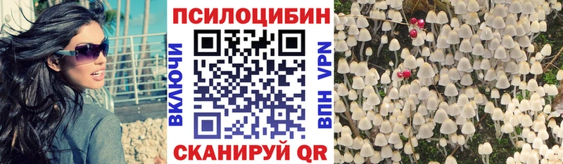 Галлюциногенные грибы Cubensis Нестеровская