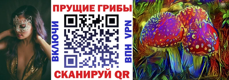 Галлюциногенные грибы мицелий  Нестеровская 